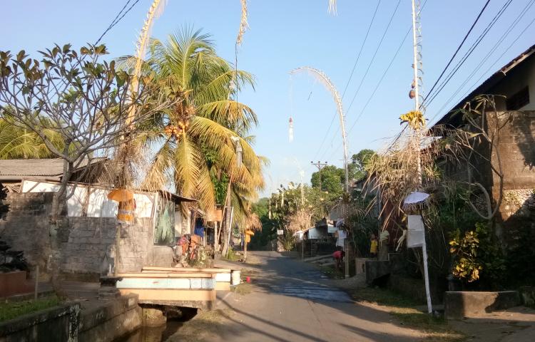 Penjor-Putih-Kuning-Hiasi-Rumah-Warga_191210.jpg
